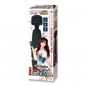 Arina Hashimoto Denma Massager - Black