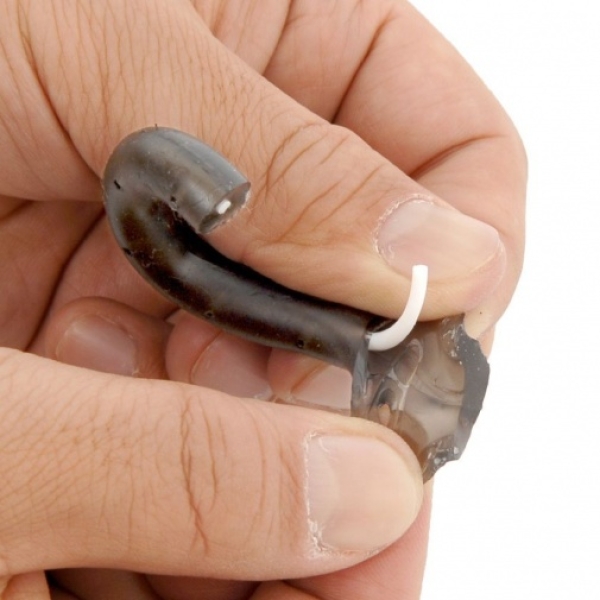 F Peni Ring S - Image 4