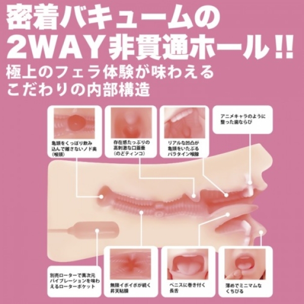 Hibiki Natsume Blowjob Masturbator：圖片 4