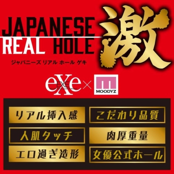 Japanese Real Hole Arina Agata Masturbator：圖片 7