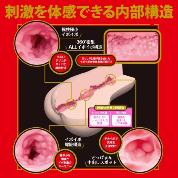 Japanese Real Hole Ayaka Kawakita Masturbator - Image 2