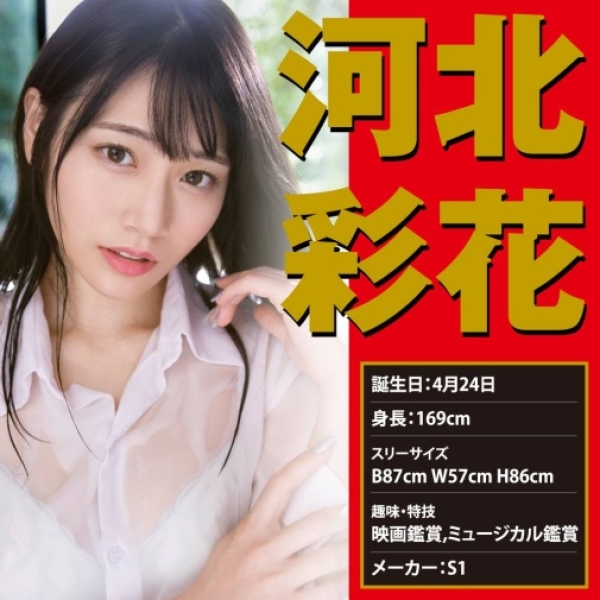 Japanese Real Hole Ayaka Kawakita Masturbator - Image 5
