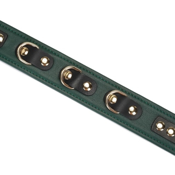 LE Premium Collar w Leash - Dark Green - Image 4