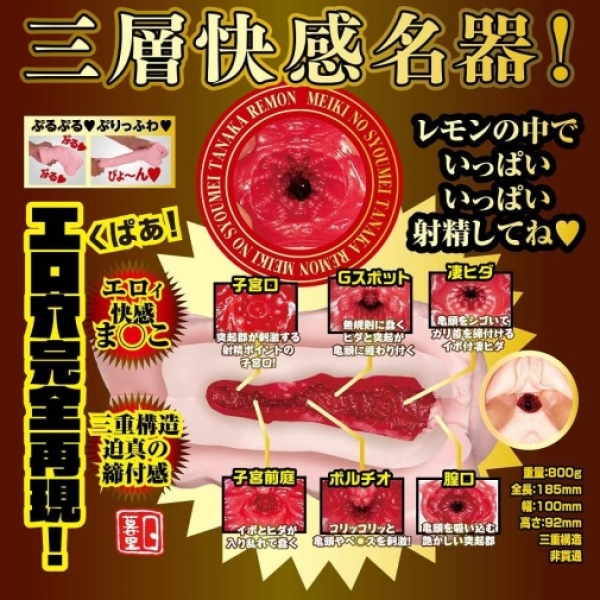 Lemon Tanaka File 013 Masturbator：圖片 6