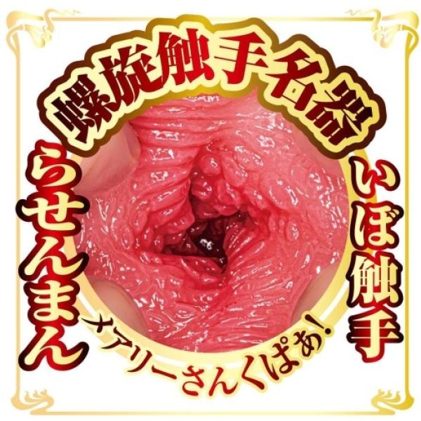 Mary Tachibana AV Mini Masturbator - Image 9