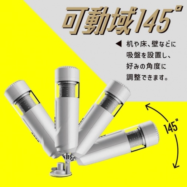 Puni Ana Roid 6 Masturbator - Image 2