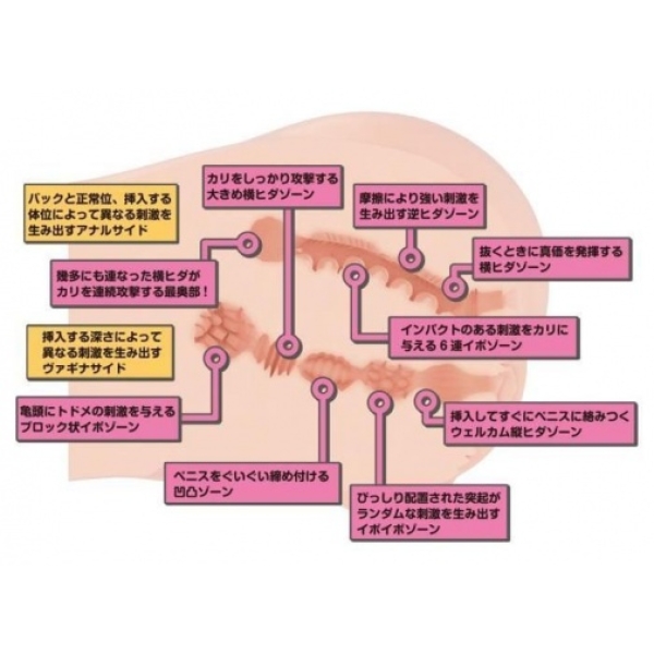 Real Body Yura Anekawa D-Cup 9kg Masturbator - Image 2