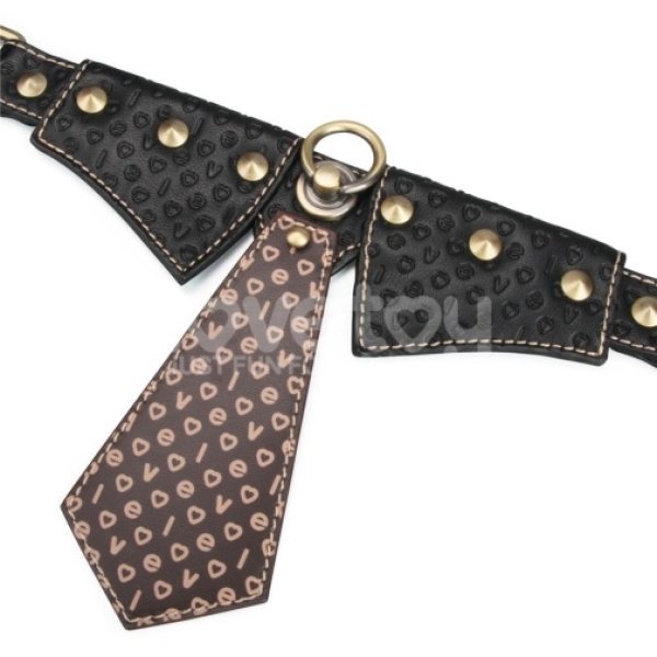 Rebellion Reign Collar w Leash - Black - Image 3