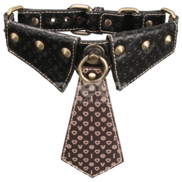Rebellion Reign Collar w Leash - Black