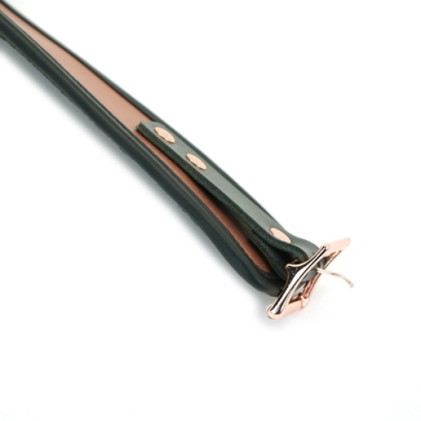 Rose Gold Collar w Leash - Image 6