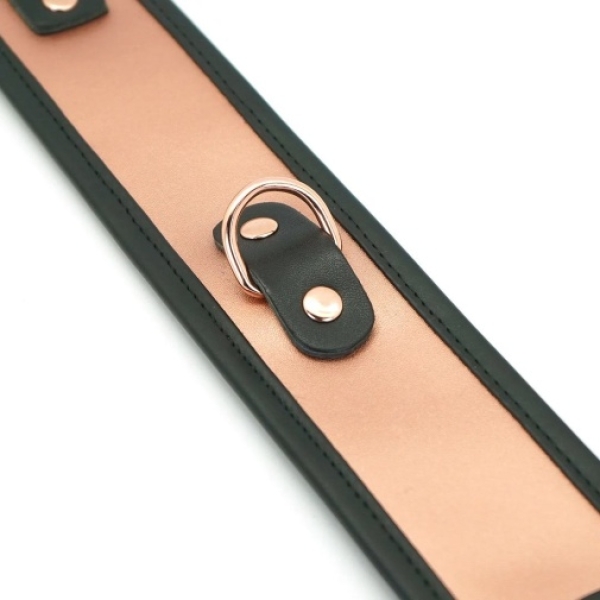 Rose Gold Collar w Leash - Image 8