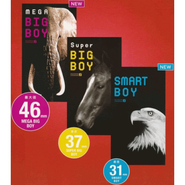 Smart Boy 31/49mm 12's：圖片 5