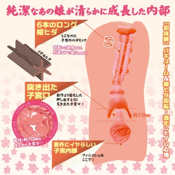 Tight Innocent Pussy Evolution Masturbator：圖片 2
