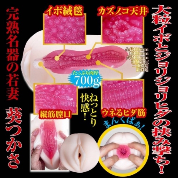 Tsukasa Aoi 2nd Generation Masturbator：圖片 5