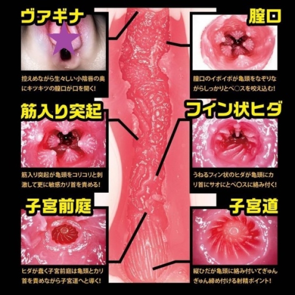 Tsukasa Aoi File 003 Masturbator - Image 2