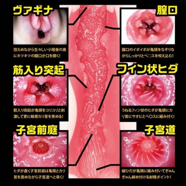 Tsukasa Aoi File 003 Masturbator - Image 8