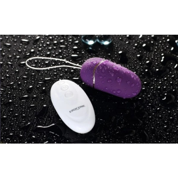 UrsaMinor - Egg - Purple - Image 36